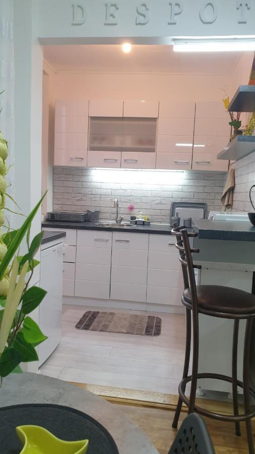 Despot Apartmani Nis Exterior foto