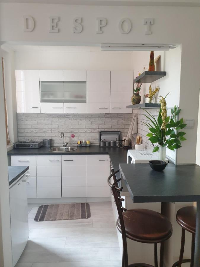 Despot Apartmani Nis Exterior foto