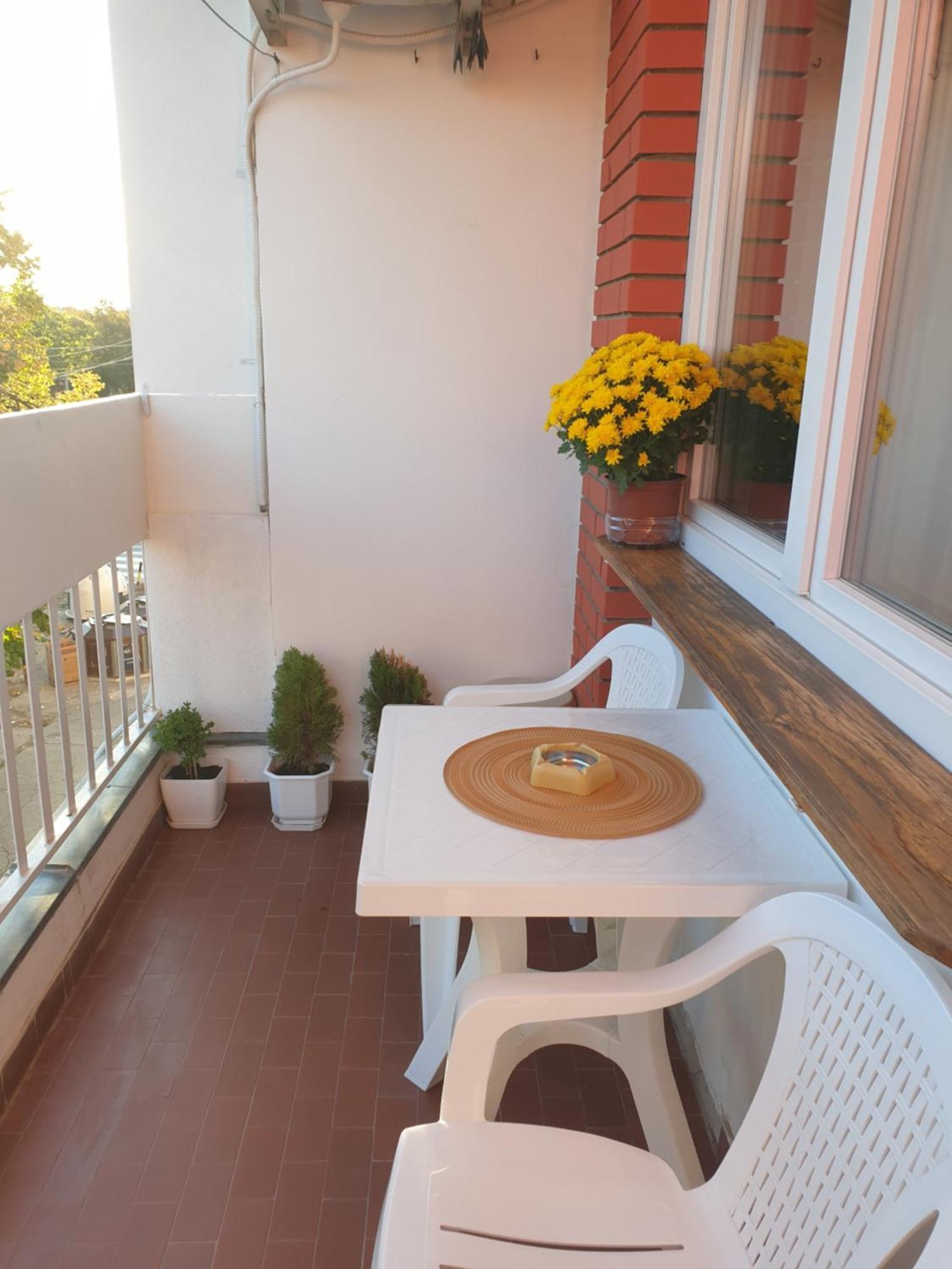 Despot Apartmani Nis Exterior foto